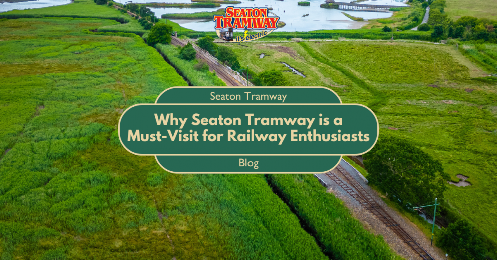 Why Seaton Tramway is a must visit for Railway Enthusiasts