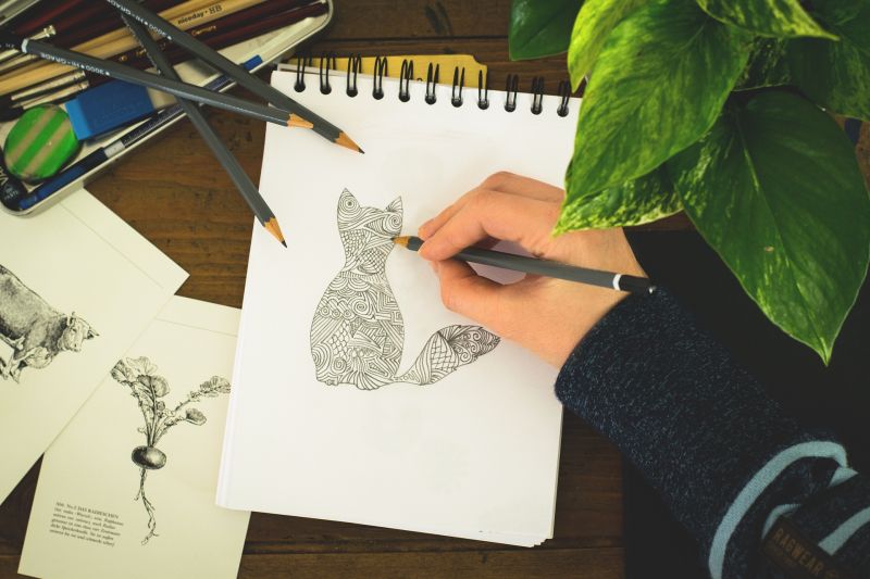 Drawing of a Cat