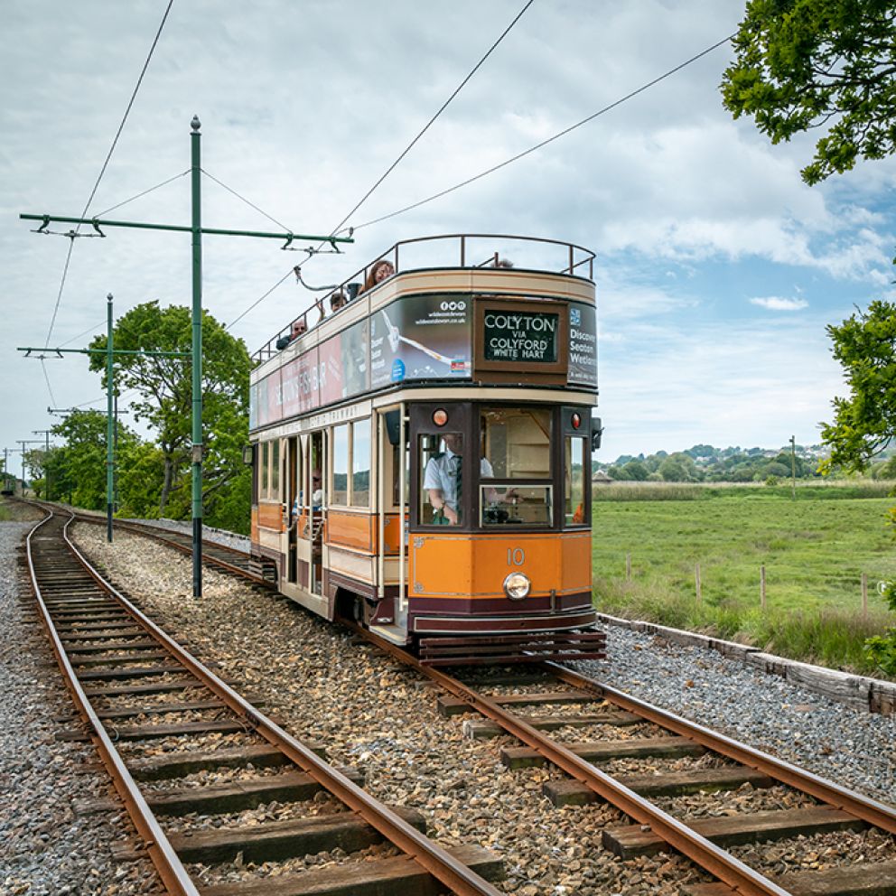 Green Orange Car 10 Facing North at Axmouth Loop