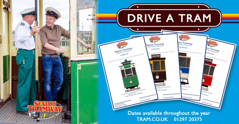 Driver's Eye Certificates