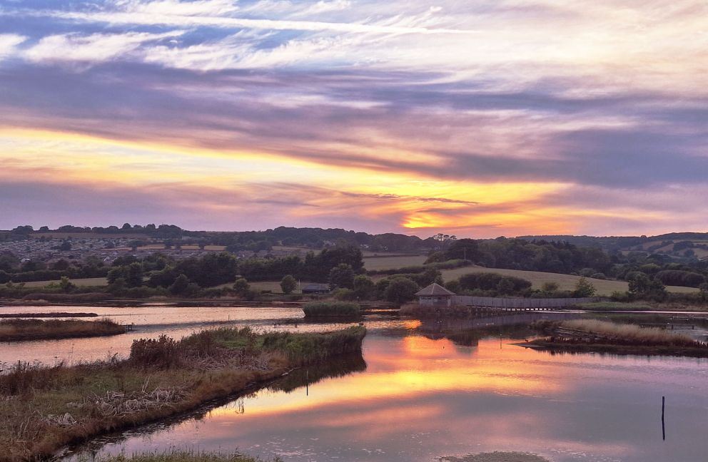 Blackhole Marsh - Birdwatching Tram