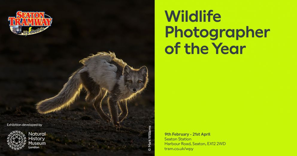 Wildlife Photographer of the Year Exhibition 59 