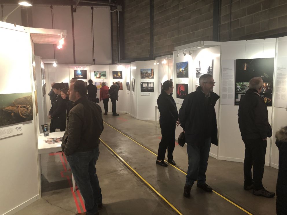 Wildlife Photographer of the Year Exhibit at Seaton Tramway 