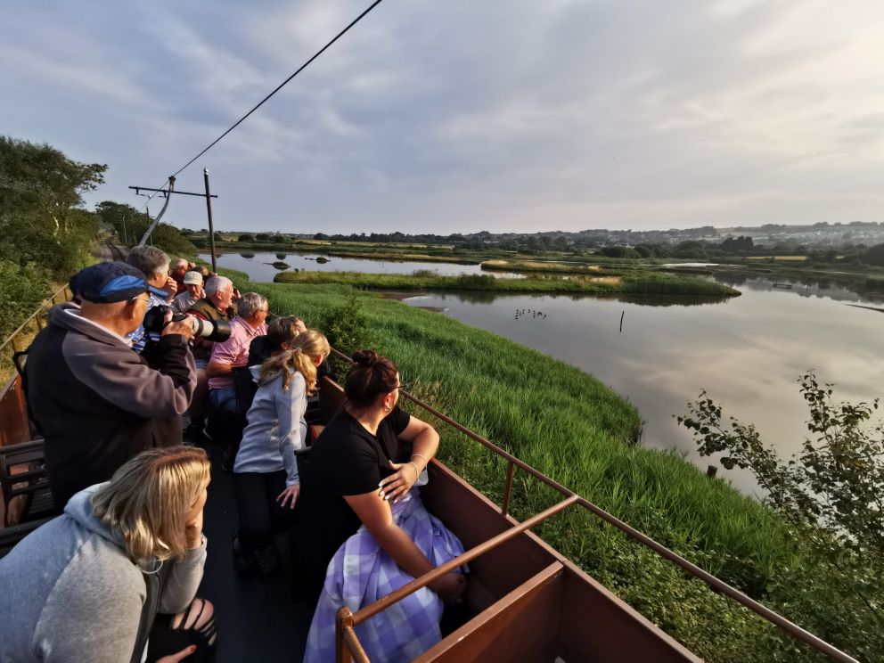 Birdwatching Seaton Tramway
