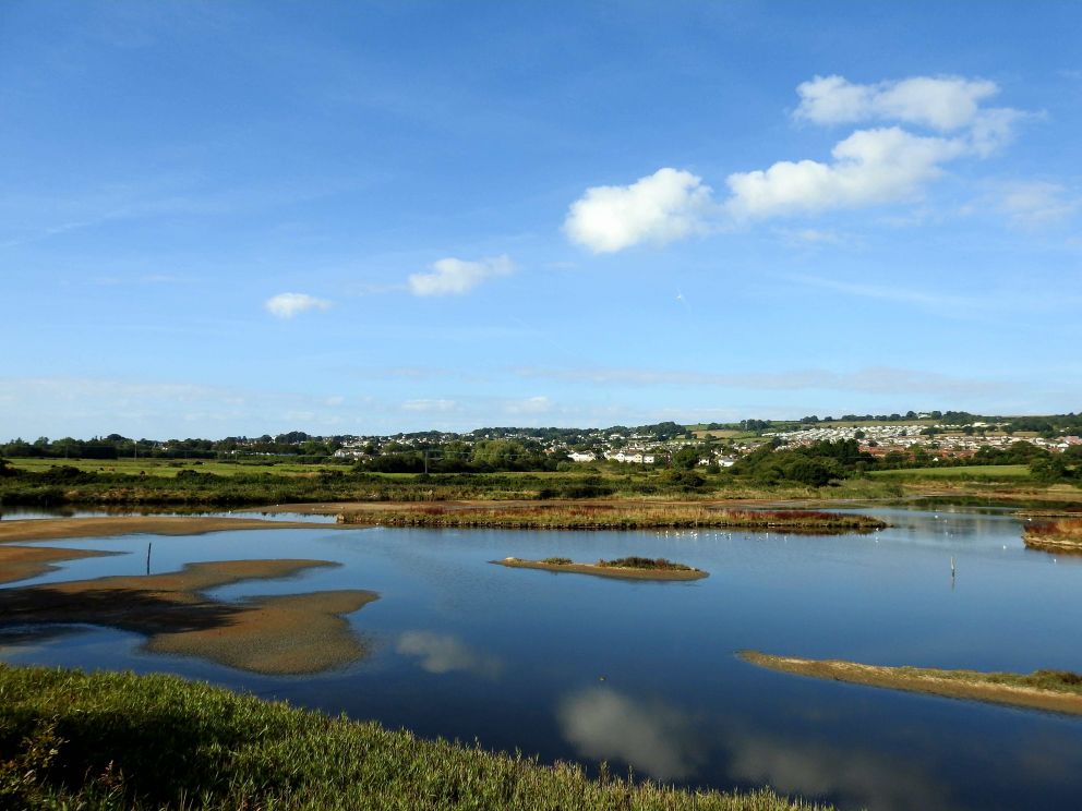 Seaton Wetlands Seaton Tramway