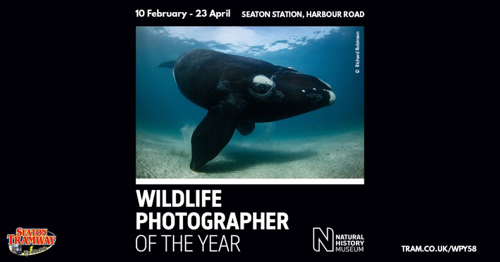 Wildlife Photographer of the Year Exhibition 58
