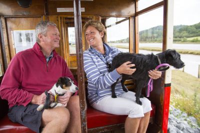 Seaton Tramway is Dog Friendly