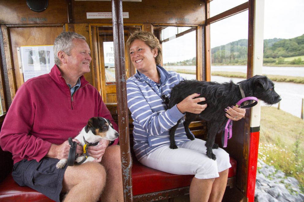 Seaton Tramway is Dog Friendly