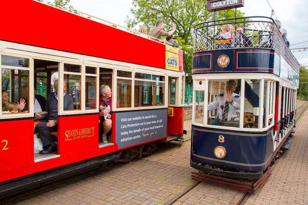 Tram 12 & 8 at Colyton
