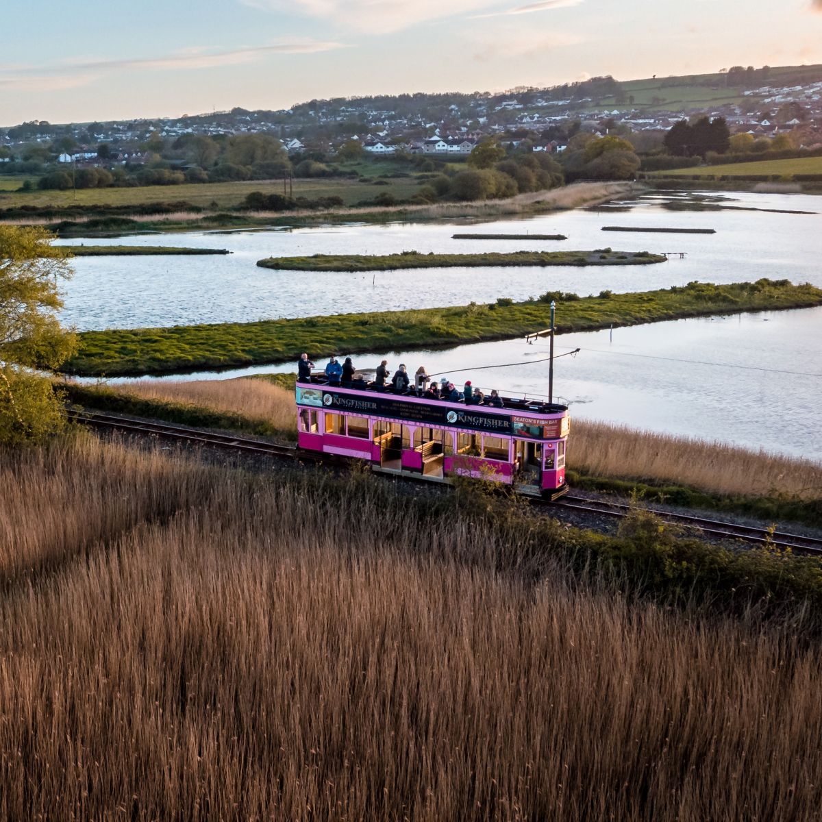 Pink Tram 11 Drone Shot across Seaton Wetlands