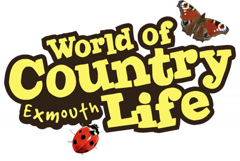World of Country Life Logo