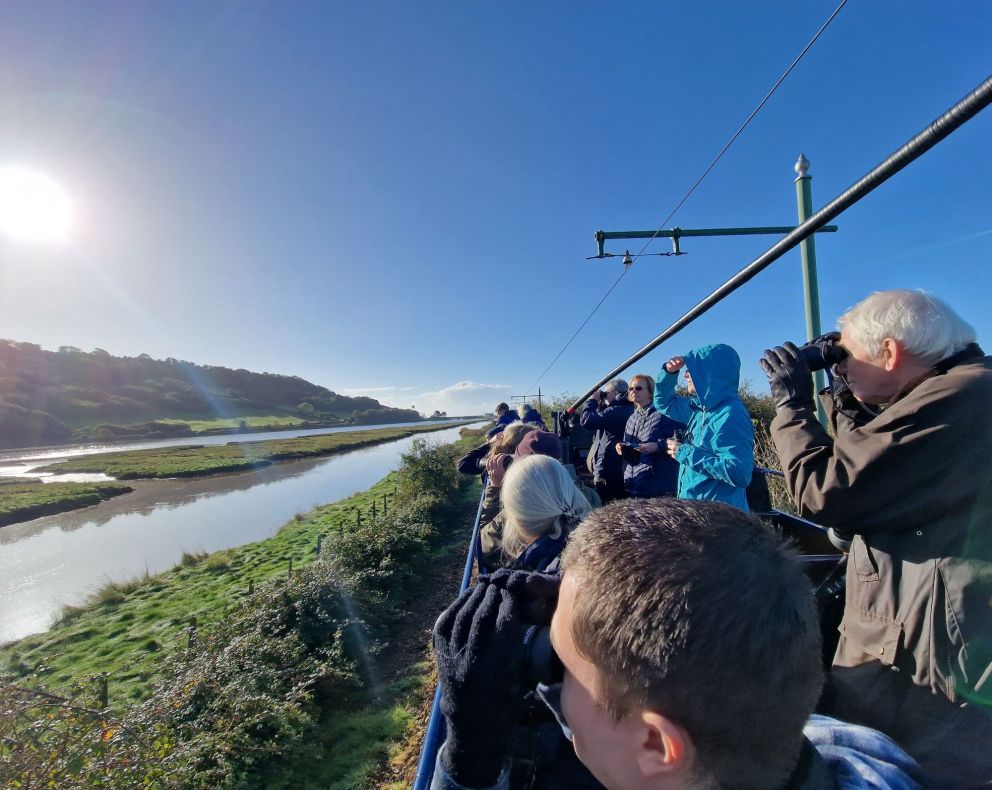 Birdwatching Tram