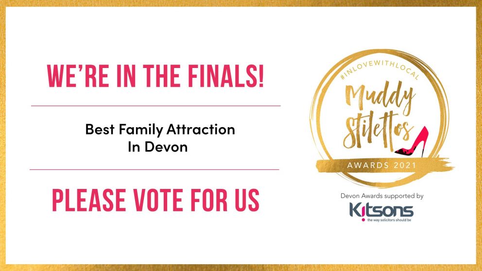 Muddy Stilettos Seaton Tramway Finalists