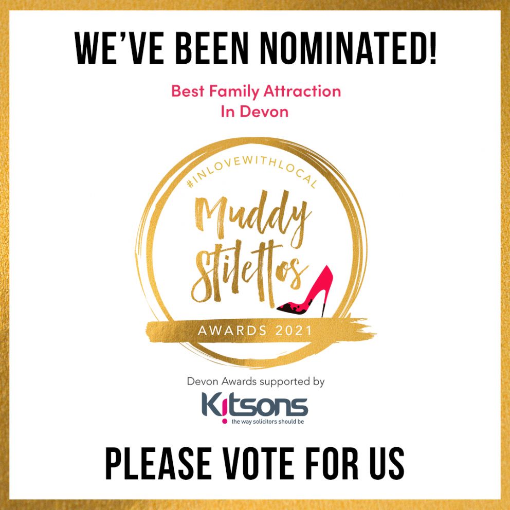 Seaton Tramway Muddy Stilettoes Nomination