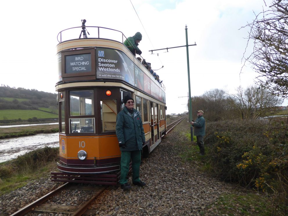 Birdwatching & Ringing