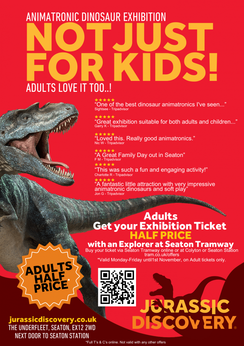 Not Just for Kids poster